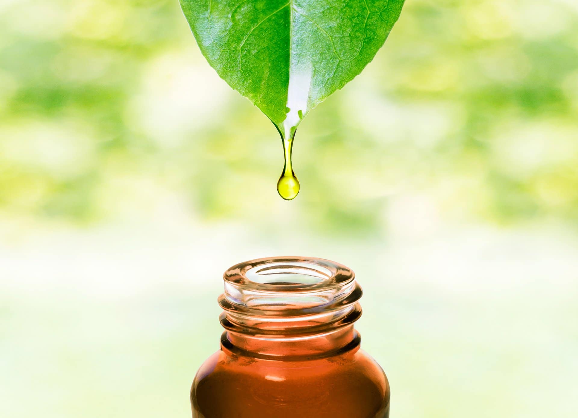 Leaf Oil