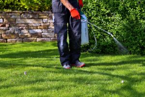 A pest control worker spraying a lawn.